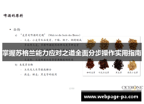 掌握苏格兰能力应对之道全面分步操作实用指南