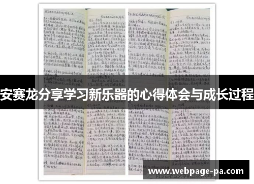 安赛龙分享学习新乐器的心得体会与成长过程