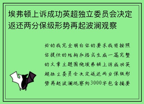 埃弗顿上诉成功英超独立委员会决定返还两分保级形势再起波澜观察